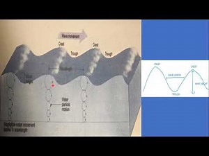 Movement Of Ocean Waters | Sea Waves | tides