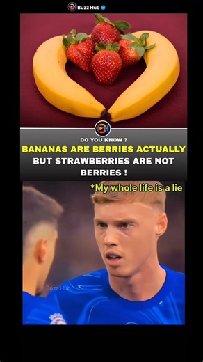 according to botany bananas are berries