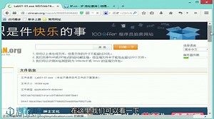 恶意代码分析实战