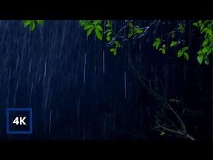 GENTLE RAIN at Night falling on Trees to Sleep Fast, Beat insomnia, Relax, Study Better 10 Hours