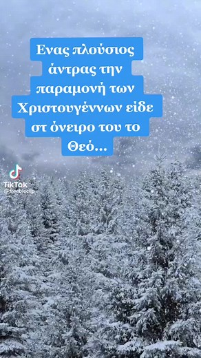 Beautiful Winter Forest with Snowing Coniferous Trees