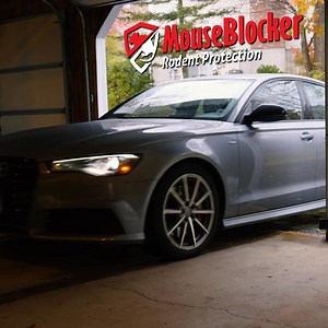 No traps. No poison. No mess. Just high-frequency sound that keeps mice out of your vehicle, garage, or home. | Mouse Blocker