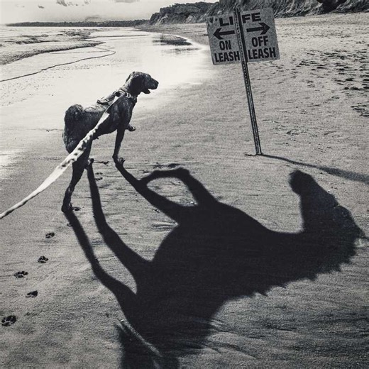 WANIMA、MIYASHITA PARKを舞台にした新曲MV公開