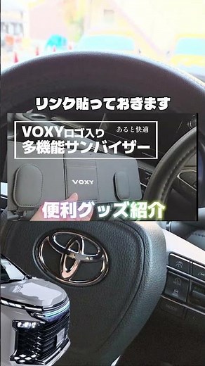 I apologize for the ticket holder on the VOXY 90 sun visor. I am a VOXY owner who has been drivin...
