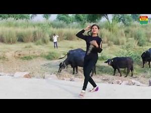 Chori Teri Choot mein lund