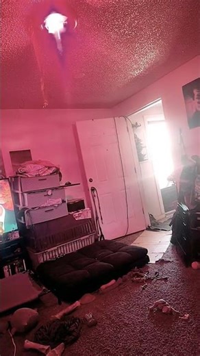 we got Red LED lights for the living room #smallinfluencer #tiktok #puppytiktok #dogs #fyp #viral