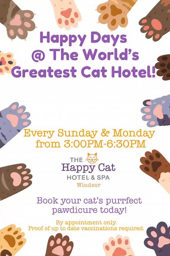 Five dollar…Five dollar…Five dollar nail trims! We don’t have foot long subs but we do have nail trims for your cat for just $5 on Sunday and Monday between 3-6:30! Book a quick NT appointment @ https://happycathotel.com/windsor/cat-grooming-windsor/ or call our Kitty Concierge @ 860-580-6691 to get kitty on the list! | Happy Cat Hotel Windsor, CT