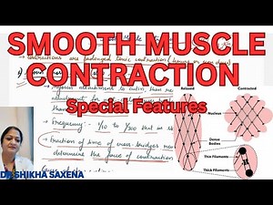 Special features of smooth muscle contraction- Latch mechanism, Stress relaxation mechanism