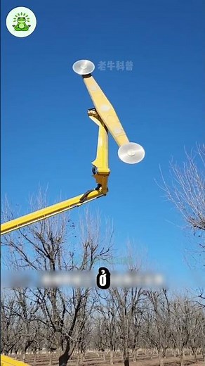 An Amazing Automatic Tree Trimmer with 8 Saw Blades!