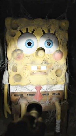 #cartoon #animasulucu #funny #kartunjadul #spongebob