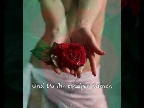LeAnn Rimes - The Rose (Lyrics Deutsch)