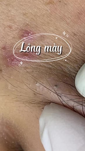 Lông Mày Đen Đẹp Chào Đón Tết
