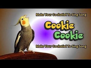 🍪 Cookie Song for Cockatiel Training – 1‑Hour Cockatiel Singing & Whistle Practice 🎶 1