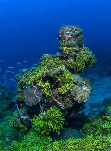 Beautiful Surah Al imran Recitation Best quran recitation by sheik Mahir almuailqy #BeautifulSurahRecitation🥰 #SurahAlImran #QuranRecitation #SheikMaherAlMuailqy #viral