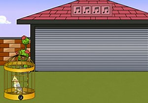 Cockatiel Bird Escape - Escape Fan