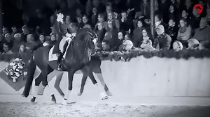 Sir Donnerhall I – Der Dressurvererber der Extraklasse!🌟 ▶️watch.clipmyhorse.tv/Sir-Donnerhall-I Manche Pferde hinterlassen einen bleibenden Eindruck, doch nur wenige schaffen es, zu wahren Legenden zu werden. Sir Donnerhall I (Sandro Hit x Donnerhall) hat es geschafft und gehört zu diesen Ausnahmetalenten.🤩 Schaltet auf ClipMyHorse.TV ein und erfahrt was ihn zu einem der gefragtesten Vererber der modernen Dressurzucht gemacht hat und welche prägenden Momente seine Karriere beeinflusst haben!�