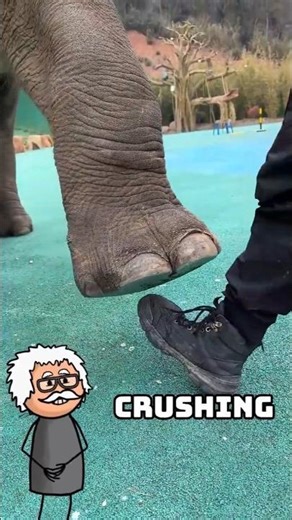 This Giant Knows Your Breaking Point… Exactly 😨