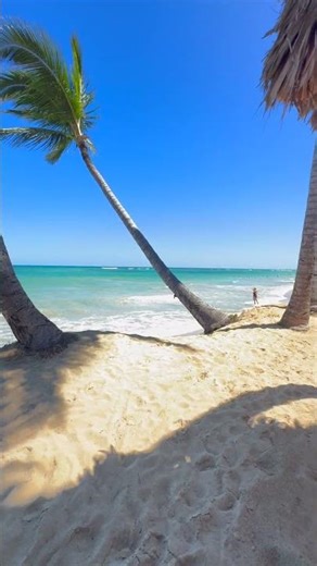 A Perfect Beach Moment in Punta Cana