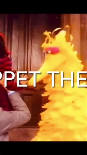 New muppet theory intro