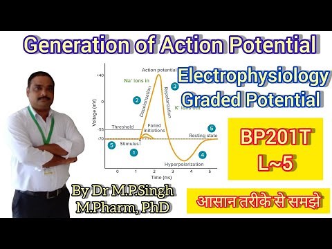 Electrophysiology of Nervous Tissues | Generation of Action Potential | HAP-II | BP201T | L~05
