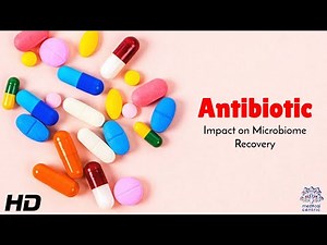Antibiotic : Impact on Microbiome Recovery and Long-Term Health