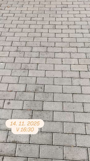 Instalace výstavy "Andělská" v Sociálním centru Kraje Vysočina je téměř hotová! ​Tato kolekce je pro mě velmi osobní. Dřevo, krystaly, minerály, řezba... to všechno dohromady tvoří Anděly. ​Ráda bych vás všechny pozvala na vernisáž! ✨ Pátek 14. 11. v 16:30 ✨ Sociální centrum kraje Vysočina ​Přijďte se podívat a podpořit dobrou věc. 20 % z prodeje poputuje na aktivity pro místní seniory. ​#AndělskáVýstava #AlliVArt #DřevoAKřišťál #SílaJeVnás #Vysočina #artwood #alliv | AlliV - Alena Spruijtová