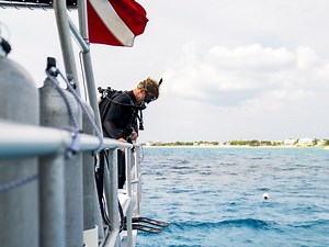 Haven't Been Diving for a While? Some Key Points to Remember | Sea Gypsy Divers