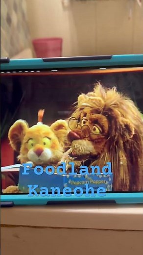 Foodland Kaneohe July 2028 Elmo's Sing Along Guessing Game 1996 DVD 📀