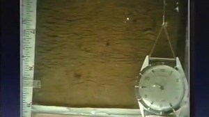 Frost action in soils