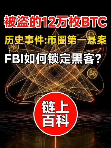 链上百科 · 历史事件(8)：BitFinex黑客被追回全复盘 | 黑客盗走12万枚比特币后，FBI是怎么定位他的？ | 链上追踪不是科幻，是硬核侦探学