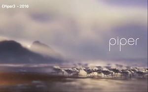 皮克斯2016动画短片完整版 -《鹬》Piper ｜Pixar｜44届安妮奖最佳动画短片奖｜89届奥斯卡金像奖最佳动画短片奖