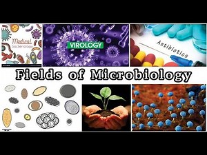 Introduction to Microbiology ; What it Involves, Major Branches, Why It Matters