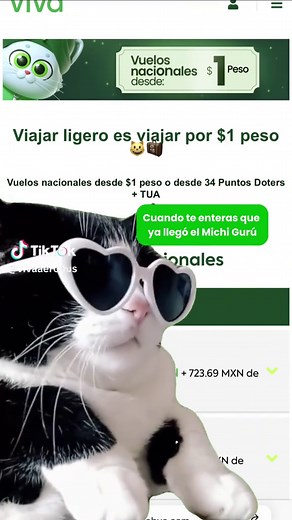 Reserva tu vuelo en Viva Aerobus ¡con el mejor flow!