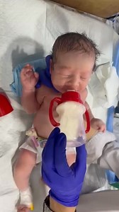 hungry baby is crying | newborn baby is hungry So cute baby twins baby 🐰💕🎉 . . . . . . #newborn #socute #baby #familvactivities #beautiful #FamilyActivities #Amezing #twins #newbornbaby | Nurse Life