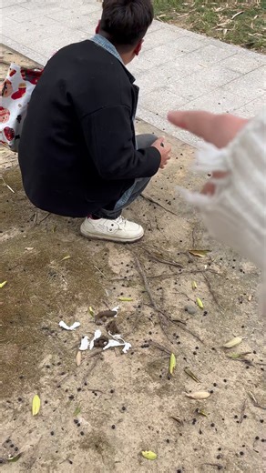 Essential Tips for Comfortable Camping Setup