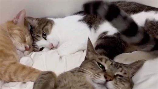 Daily Smile: Sunday, November 30, 2025