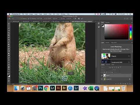 How To Add Copyright Symbol in Photoshop