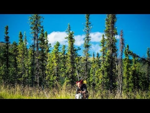 [HD] Im Zauber der Wildnis - Alaskas Majestät - der Denali Nationalpark (Doku)