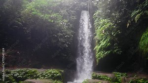 Amazing huge powerful mountain waterfall in rainforest on tropical island. Water falling in small lake flowing in river. Picturesque wild nature scenery landscape, outdoors in tropics jungle.