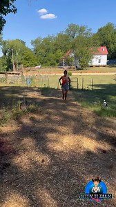 Wasp Hornet #themaryburke | Jennifer Hill