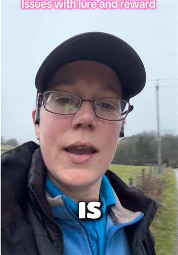 Mastering Dog Training: The Role of Lures and Markers