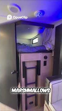 San Diego RV Delivery Rental for you family and pet camping trips!