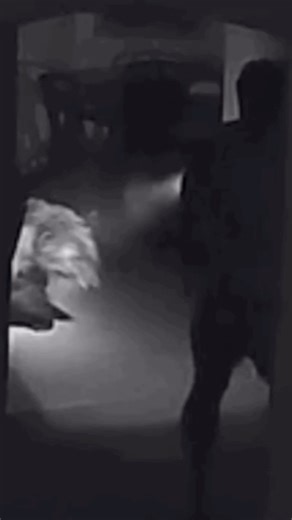 Suppressors don’t make guns “silent.” They make them safer by protecting our hearing. Just ask the man who defended himself, his family, and his home from a charging bear using a suppressed AR. 🎥: @veritas_dei_vincit (IG) | American Suppressor Association