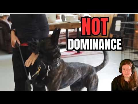 This Dog Was Pushed Too Far… And Everyone Missed Why - Part one