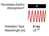 Zapping Yeast with X-rays | Science Project