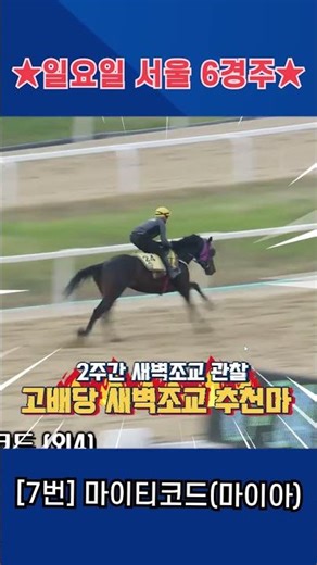 Sunday, May 10th, Seoul Race 6!! Kang Baek-ho, who trained for 2 weeks, early morning training, S...