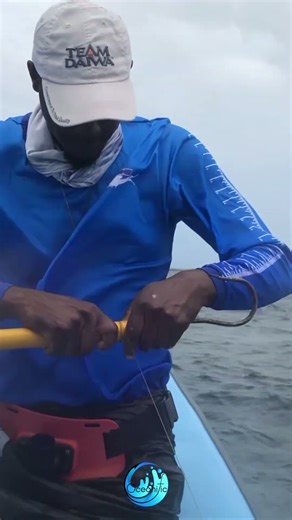 Speed Jigging a Boat Load of "Reef Donkey" at Hibiscus Gas Platform Trinidad, Amberjack fuh so !