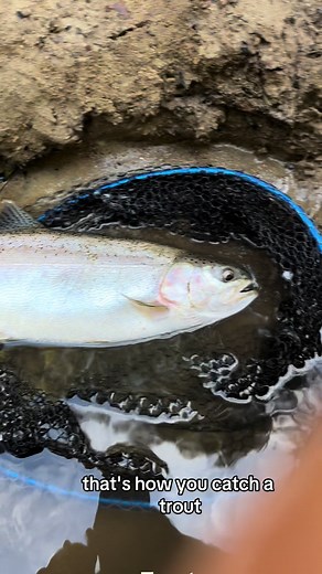 The Trout Slayer on TikTok