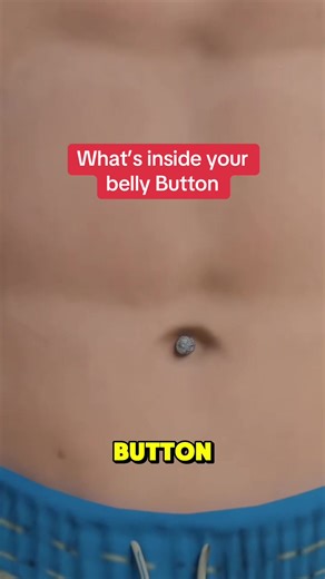 Discover What Lives Inside Your Belly Button