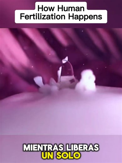 3D Visualization for Anatomy Education